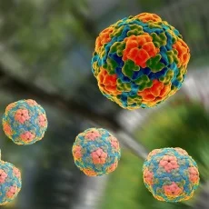 Imagen informativa sobre Hepatitis A