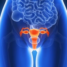Imagen informativa sobre Cáncer de útero