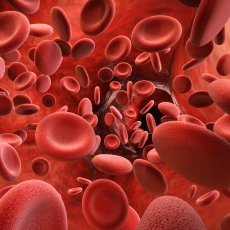 Imagen informativa sobre Hemofilia