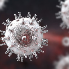 Imagen informativa sobre Sarcoma de Kaposi
